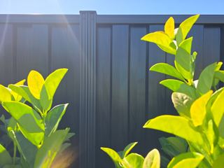 Black Ash woodgrain steel fence behind bright green leaves