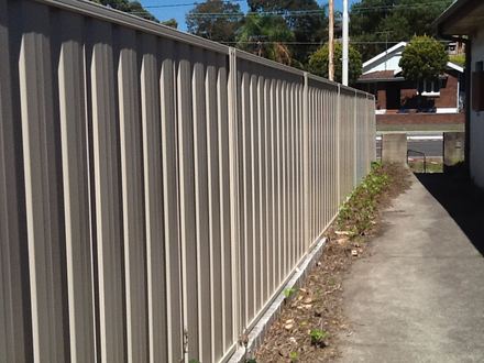 New light grey Colorbond privacy fence along the same concrete path