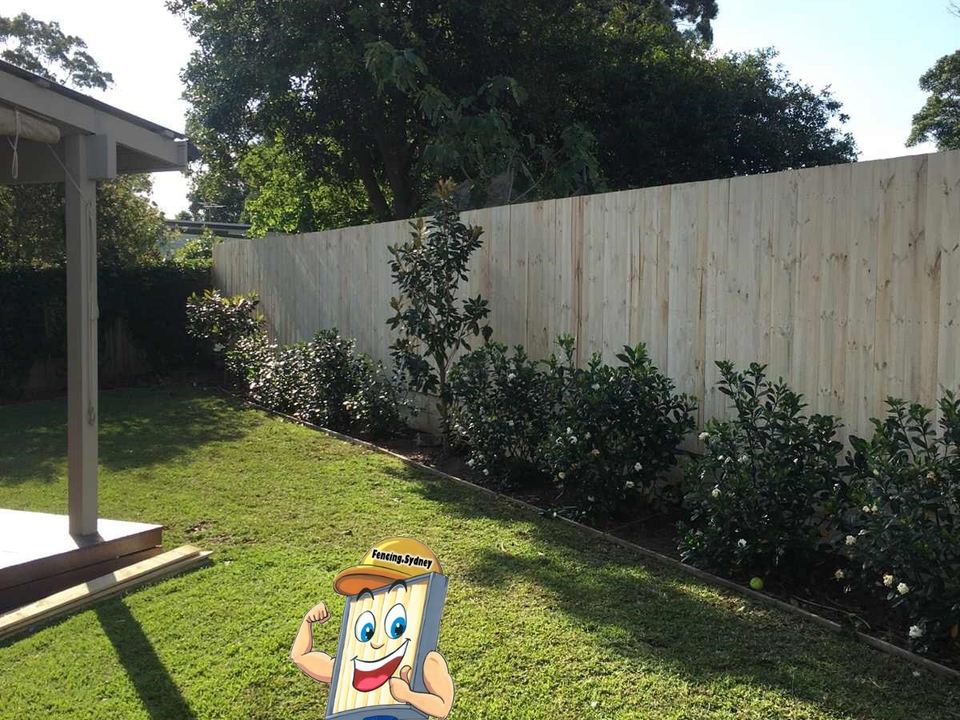 Single paling timber fencing