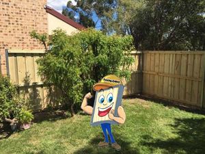 Treated pine timber fencing
