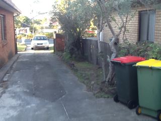Old timber paling fence and overgrown hedge along a concrete driveway beside wheelie bins