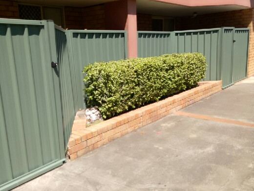 Fencing in Denistone