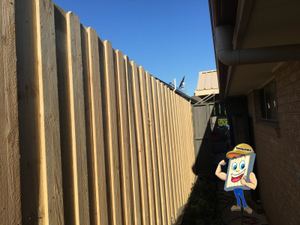 Treated pine timber fencing