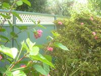 Lattice Height Extension Panels @ 300mm (H)