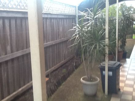 Old timber paling fence with a lattice topper beside potted plants under a patio
