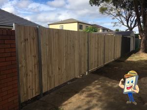 Treated pine timber fencing