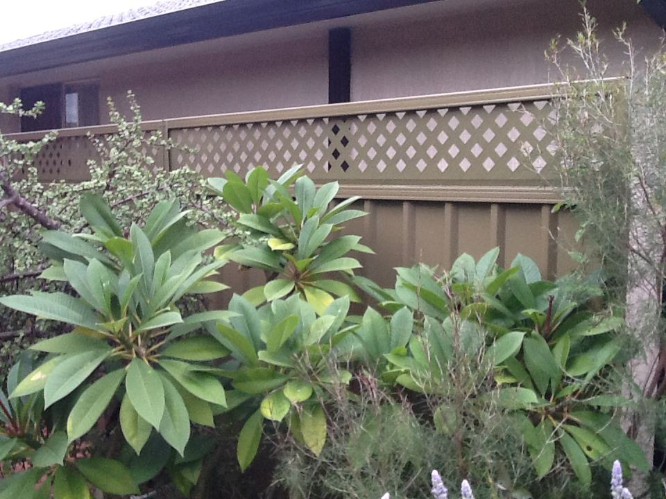 Lattice fence extensions