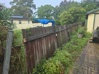 Weathered timber paling fence leaning along a garden boundary