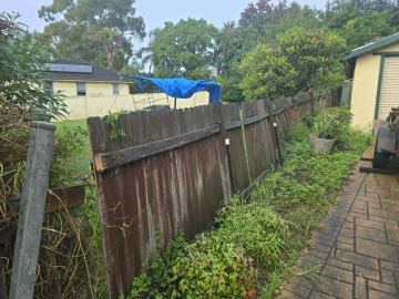 Weathered timber paling fence leaning along a garden boundary