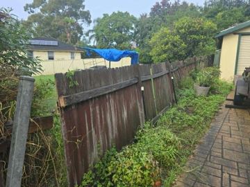 Leaning old timber palings along a garden edge prior to removal.