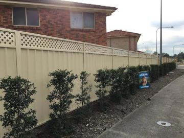 Cream Colorbond privacy fence with a lattice topper and low hedge along a street