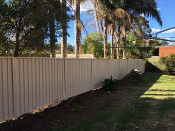 Cream Colorbond privacy fence running beside a lawn and palm trees