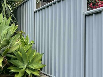 Light grey Colorbond privacy fence behind leafy garden plants