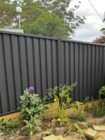 Charcoal Colorbond privacy fence running through a planted garden bed