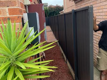 Dark Colorbond privacy fence meeting a brick wall beside a yucca plant
