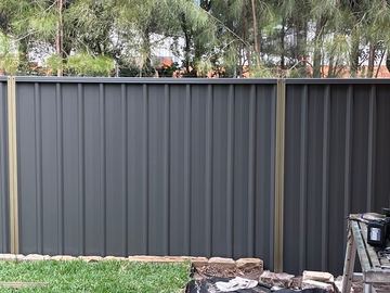 Charcoal Colorbond privacy sheets and posts on a grassed boundary