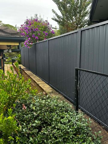 Charcoal Colorbond privacy fence with a black pool-mesh panel in the garden