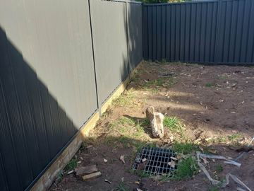 Charcoal Colorbond privacy fence on a sleeper beside a stormwater grate