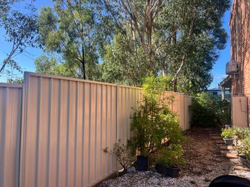 Beige Colorbond privacy fence beside a garden shrub on a dirt side yard