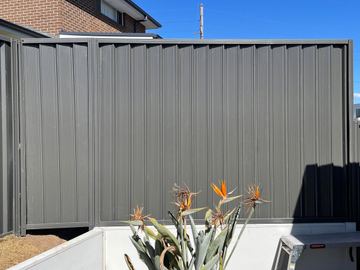 Charcoal Colorbond privacy fence behind a bird of paradise plant
