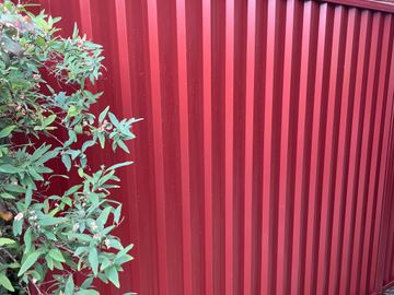 Close view of manor red Colorbond privacy sheets behind garden foliage