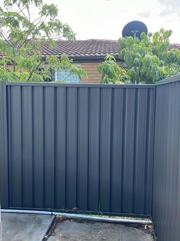 Blue-grey Colorbond privacy fence behind garden foliage