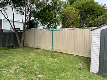 Cream Colorbond privacy fence beside a white shed and a rotary clothesline