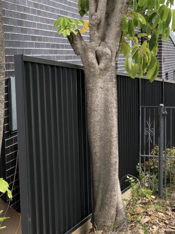 The scene shows a mid grey corrugated steel fence where sleepers form the base.