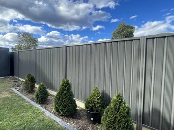 The scene shows a mid grey corrugated steel fence where garden beds sit at the base.