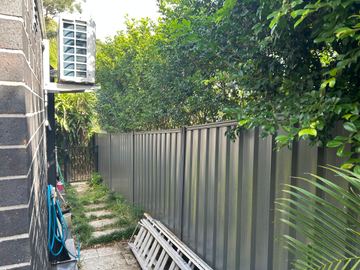 Mid grey Colorbond privacy fence seen through garden foliage with a ladder on the ground