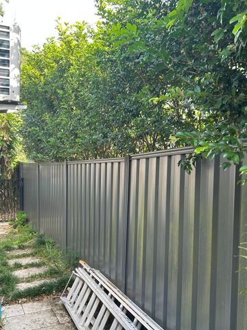 Mid grey Colorbond privacy fence seen through garden foliage with a ladder on the ground