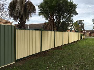 Cream Colorbond privacy fence with dark posts across a lawn beside a palm tree