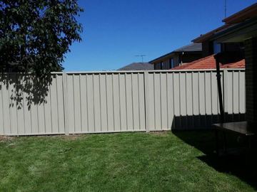 Light grey Colorbond privacy fence on a suburban lawn under a tree