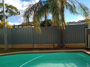 Mid grey Colorbond privacy fence beside a swimming pool and a palm tree
