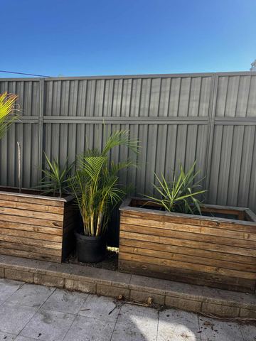 Charcoal panels with a mid-rail stand behind rectangular timber planter boxes filled with palms on grey pavers.