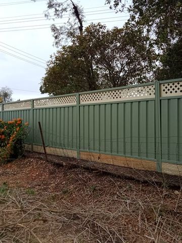 Pale green Colorbond privacy fence with a lattice topper across an overgrown yard