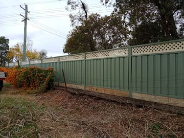 Pale green Colorbond privacy fence with a lattice topper across an overgrown yard