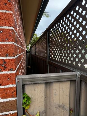 Bronze panels with diamond lattice fill a tight side path beside red brick with palms above the roofline.