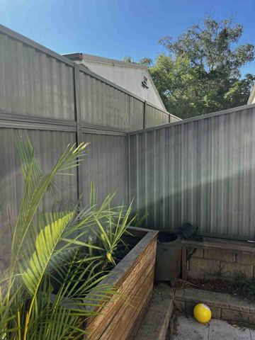 Mid grey Colorbond privacy fence turning a corner beside a potted plant