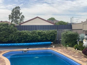 Charcoal panels behind a hedge border a blue pool while taller cream corrugated fencing continues on the right.