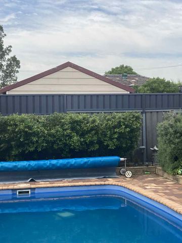 Charcoal panels behind a hedge border a blue pool while taller cream corrugated fencing continues on the right.
