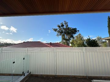 White Colorbond privacy fence standing beside a frameless glass pool barrier