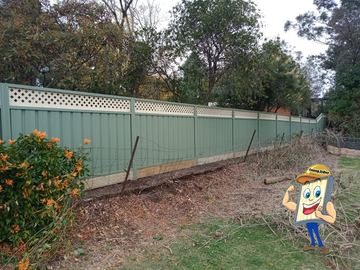Pale Colorbond privacy fence with a lattice topper across an overgrown yard
