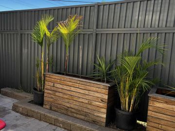 Charcoal panels backdrop timber planter boxes with palms on grey pavers beside a tan block retaining edge.