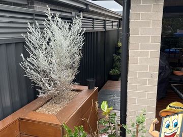 Charcoal Colorbond privacy fence beside a timber planter box and a downpipe
