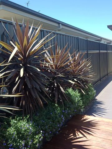Monument boundary panels border cordylines, mulch and a timber deck beside a cream corrugated roofline.