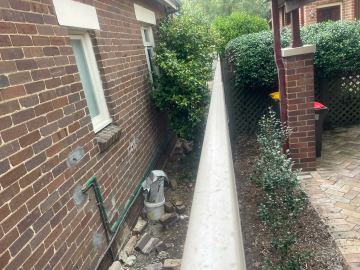 Narrow concrete side path between a brick house wall and a clipped hedge
