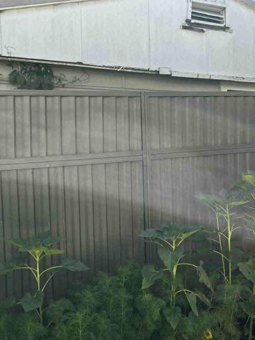 Close view of a mid grey Colorbond privacy fence with a sunflower growing beside the sheets