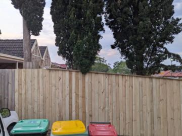 New natural timber palings stand behind wheelie bins and pencil pines with a house roof in the background.
