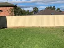 Cream Colorbond fence across a back lawn